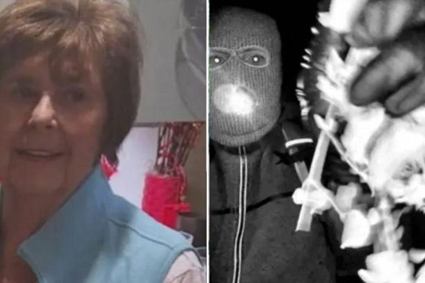 Ring Doorbell Founder Ripped for Nancy Guthrie Lack of Cameras Claim