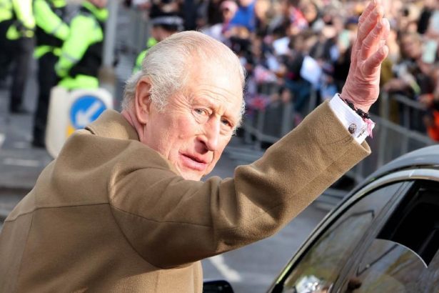 Royal Honors Slammed As King Charles Strips Titles