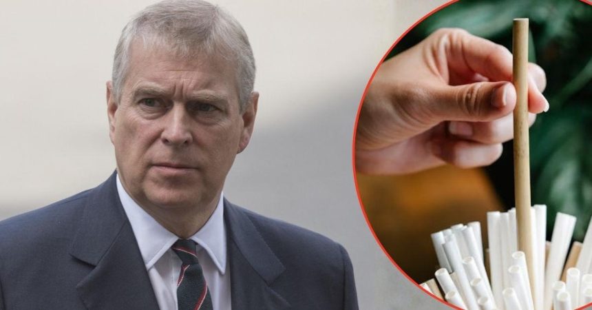 Royal Staff ‘Drew Straws’ to Decide ‘Who Would Serve’ Andrew Windsor