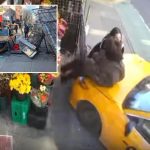 Runaway NYC cab plows into 2 women outside bodega in heart-pounding caught-on-camera crash