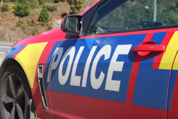 SH1 crash claims fourth victim