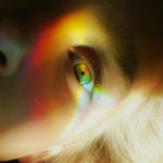 Scientists Discover How Psychedelics Make The Brain ‘Dream’ While Awake : ScienceAlert