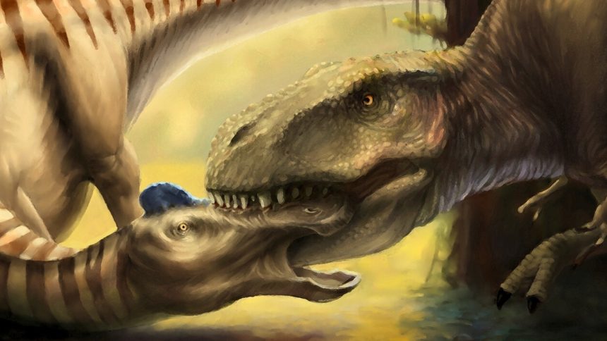 Scientists Found a T. Rex Tooth Embedded in Another Dinosaur’s Skull : ScienceAlert