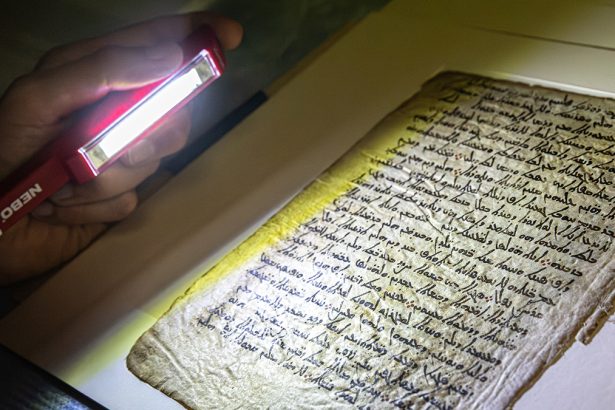 Scientists Reveal The Oldest Map of The Night Sky Ever Made : ScienceAlert