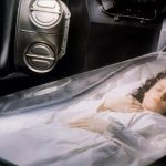 Scientists revive activity in frozen mouse brains for the first time