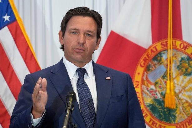 Several Republican-led states have passed SAVE Act replicas : NPR