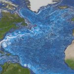 Shift in the Gulf Stream could signal ocean current collapse