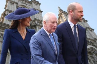 Sign British Establishment Is Turning on Royal Family