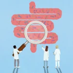 Simulations of your gut may predict which probiotics will stick