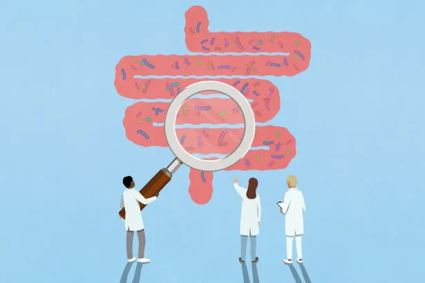 Simulations of your gut may predict which probiotics will stick