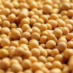 Soybeans Ease Lower into the Weekend