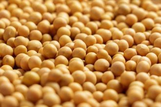 Soybeans Ease Lower into the Weekend