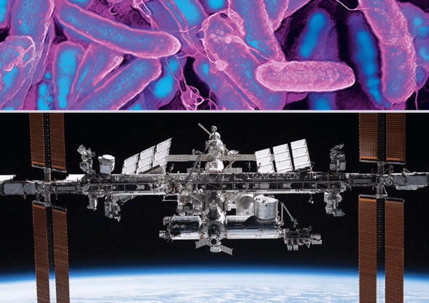 Spaceflight supercharges viruses’ ability to infect bacteria