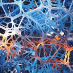 Startup is building the first data centre to use human brain cells