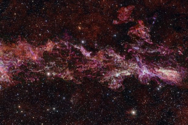 Stunning Image Reveals The Heart of Our Galaxy Like Never Before : ScienceAlert