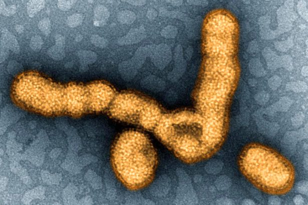 Swine flu, ketamine and depression, football CTE: Morning Rounds