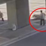 Terrifying moment homeless man seen chasing after mom and daughter before brutally attacking them