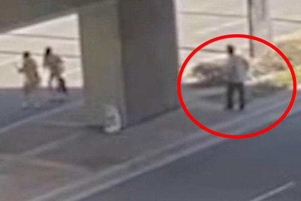 Terrifying moment homeless man seen chasing after mom and daughter before brutally attacking them