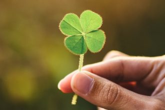 Textbooks Might Be Wrong About Why Plants Are Green : ScienceAlert