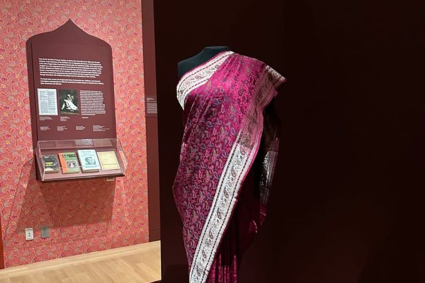The Sartorial Is Political in “The New York Sari”