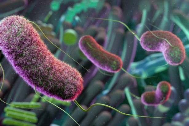 The gut microbiome may influence brain aging, mouse study suggests