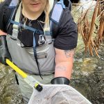  The hellbender was slated for federal protection. It’s still in limbo.