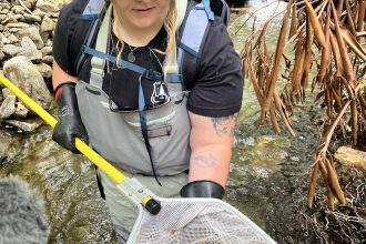  The hellbender was slated for federal protection. It’s still in limbo.