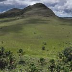 The secret superpower of Brazil’s vast savanna