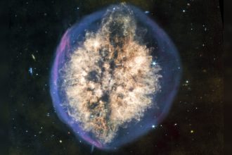 This Epic Nebula Looks Like a Giant Brain Floating in Space : ScienceAlert