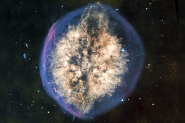 This Epic Nebula Looks Like a Giant Brain Floating in Space : ScienceAlert