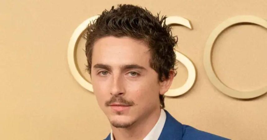 Timothée Chalamet ‘Considered Skipping Oscars Red Carpet’ Amid Comments