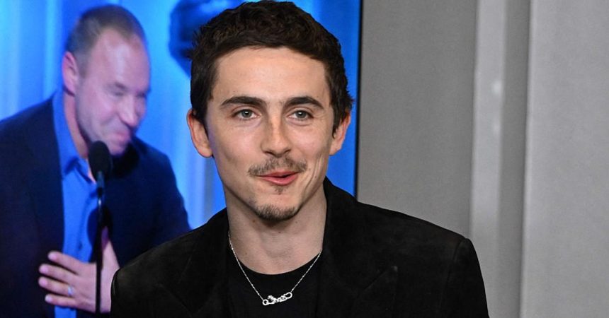 Timothée Chalamet ‘Doesn’t Care About’ Backlash Over Ballet & Opera Remark