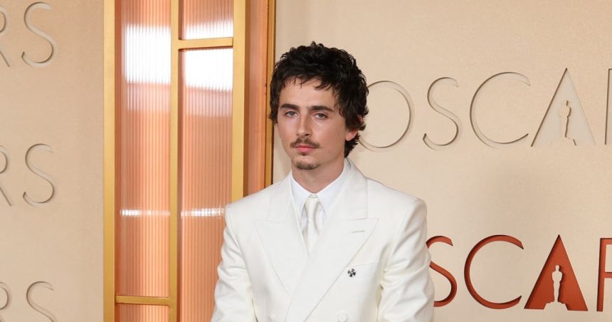 Timothee Chalamet Walks 2026 Oscars Red Carpet Without Kylie