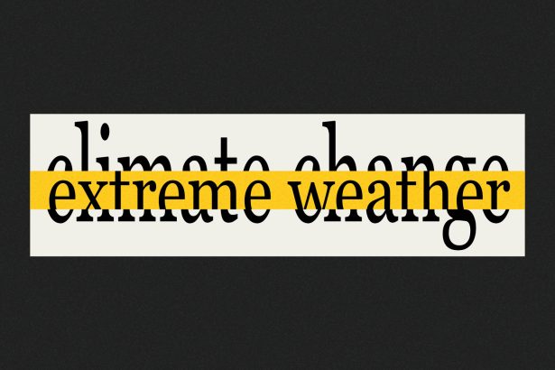 To keep climate science alive, researchers are speaking in code