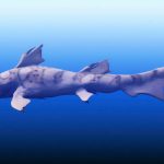 Top predators still prowled the seas after the biggest mass extinction