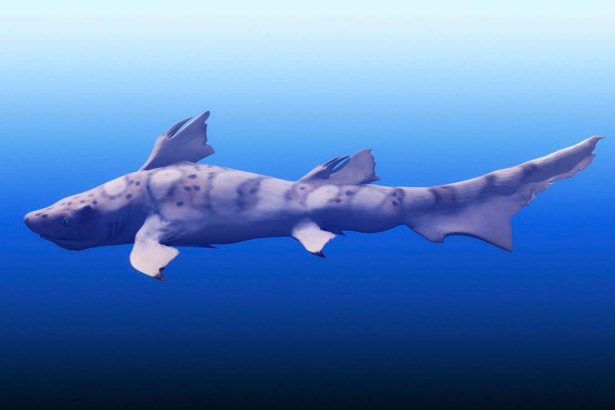 Top predators still prowled the seas after the biggest mass extinction