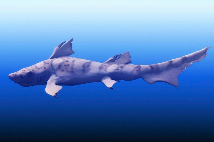 Top predators still prowled the seas after the biggest mass extinction