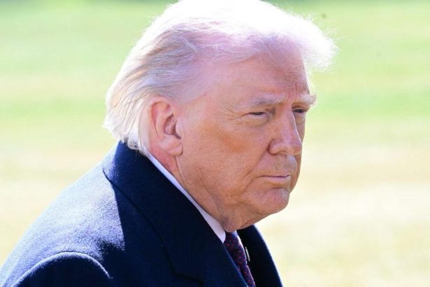 Trump’s Mix-Up About His Father’s Birthplace Sparks Dementia Speculation