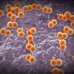 U.K.’s deadly meningitis outbreak shows importance of vaccination