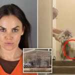 US Senate candidate convicted of tossing tarantula into Airbnb