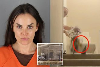 US Senate candidate convicted of tossing tarantula into Airbnb