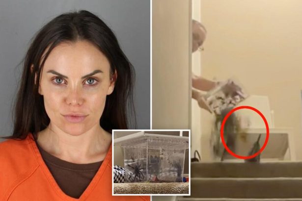 US Senate candidate convicted of tossing tarantula into Airbnb