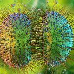 ‘Unprecedented’ Meningitis Outbreak in UK Spreads to 27 Cases : ScienceAlert