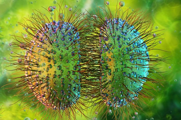 ‘Unprecedented’ Meningitis Outbreak in UK Spreads to 27 Cases : ScienceAlert