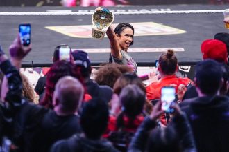 WWE champion AJ Lee finally added to the roster