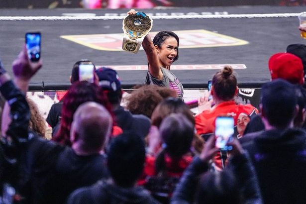 WWE champion AJ Lee finally added to the roster