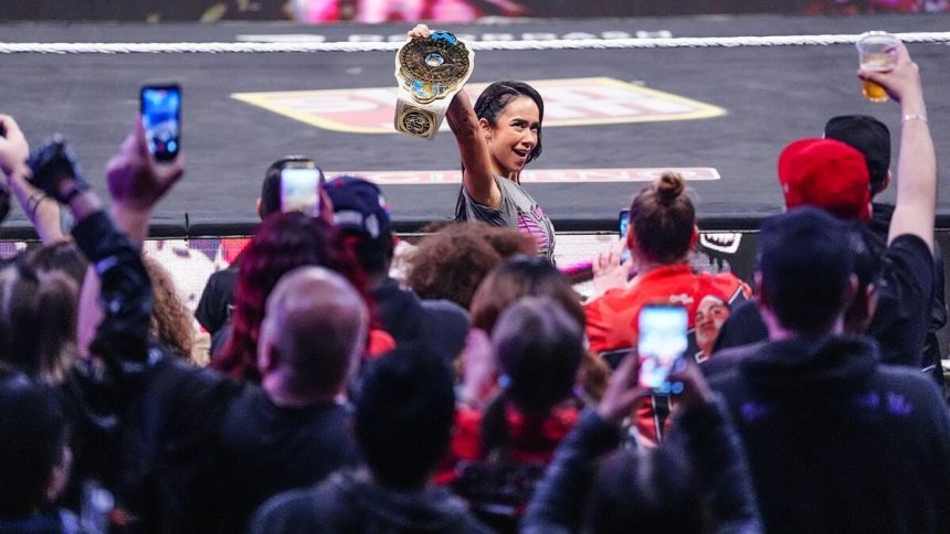 WWE champion AJ Lee finally added to the roster