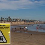Warning issued for California beaches during spring break