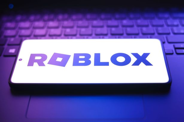 What are Roblox Camps and are they worth the time?