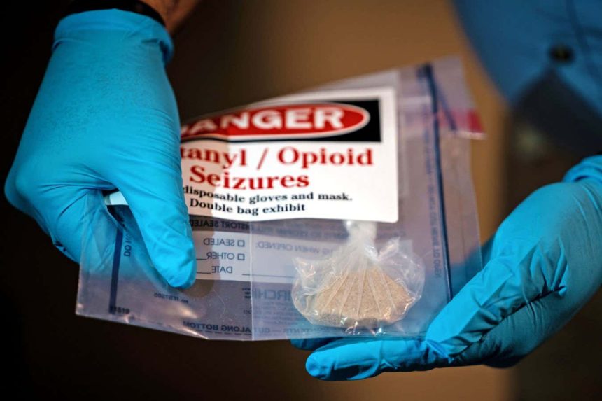 Why drug overdose deaths have suddenly plummeted in the US